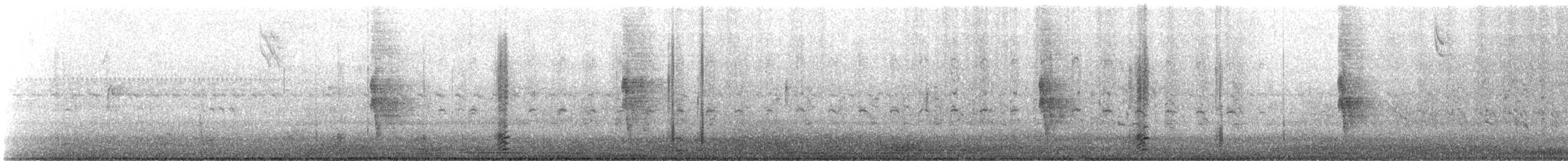 コクガン（hrota） - ML183204511