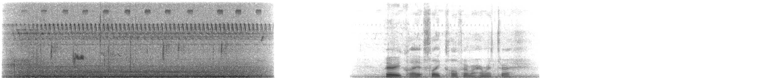 Дрізд-короткодзьоб плямистоволий (підвид faxoni/crymophilus) - ML183210981