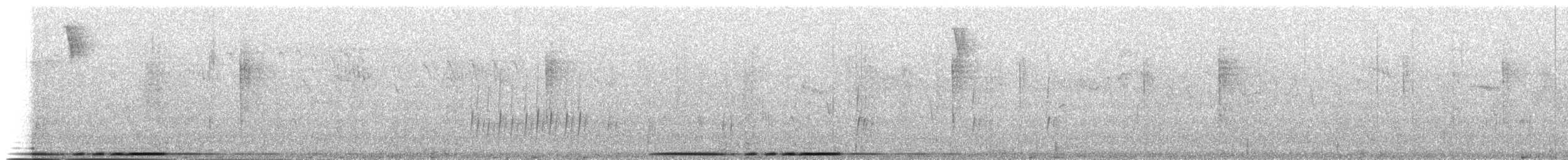 holub andský - ML183253