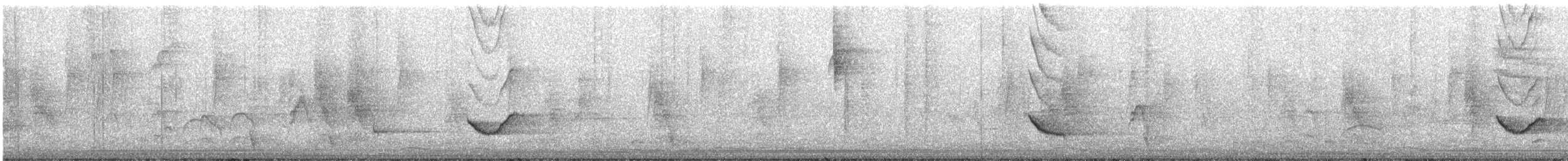 Blue Mockingbird - ML183268501