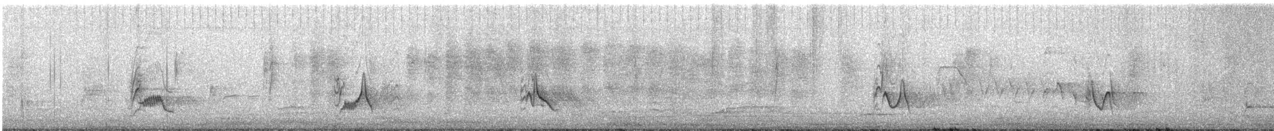 Plumbeous Vireo - ML183276631