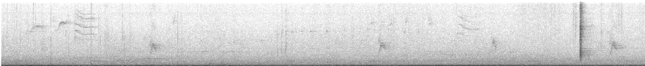 Great-tailed Grackle - ML183277581