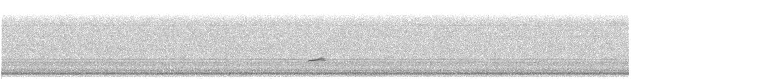 Swainson's Thrush - ML183279661