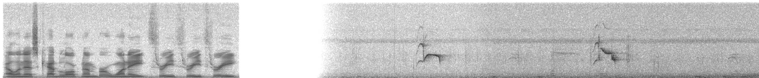 svartnebbtrost (debilis) - ML18333
