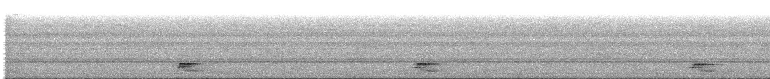 Pauraquenachtschwalbe - ML183349241
