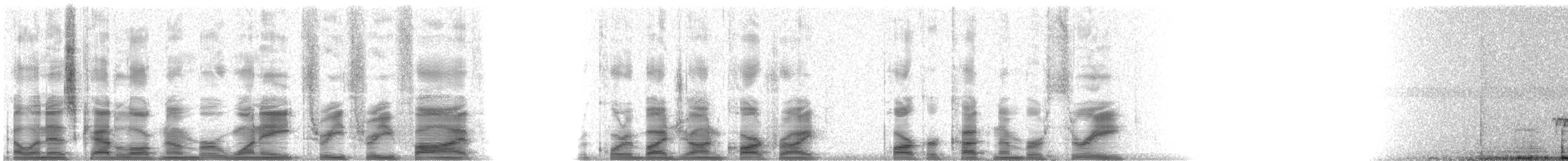Дрізд-короткодзьоб андійський - ML18335