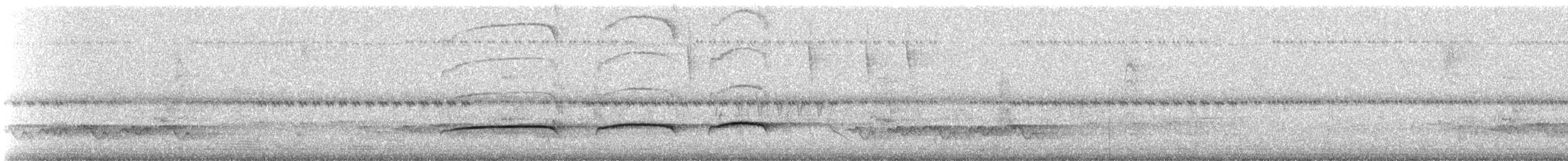 Schwarzmasken-Ameisenwürger - ML183365541