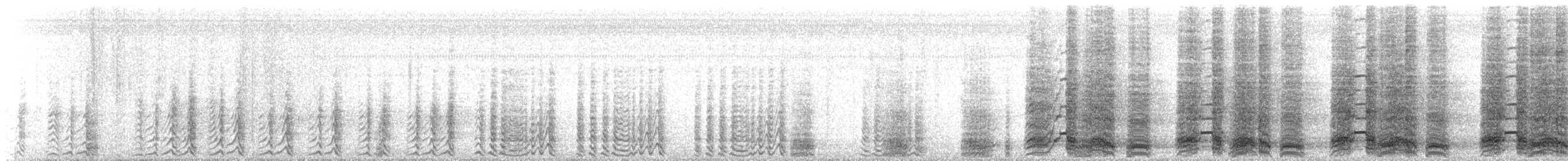 čačalaka kropenatá (ssp. remota) - ML183366391