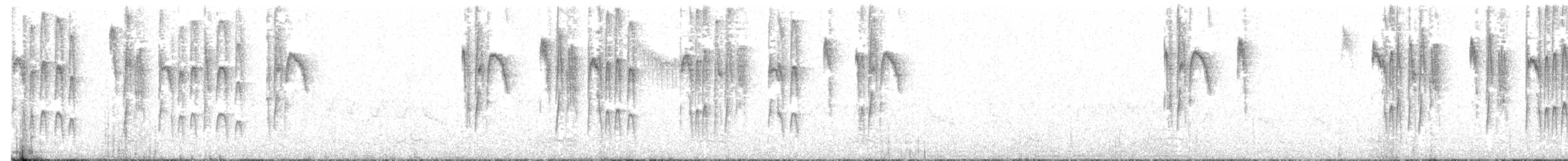 Weißbauch-Tachurityrann - ML183374901