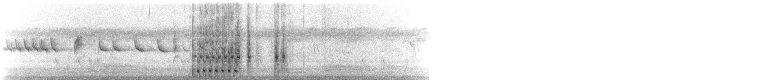 holub chocholatý - ML183379431