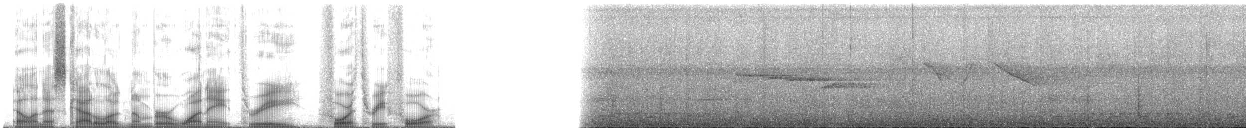 Iora émeraude - ML183434