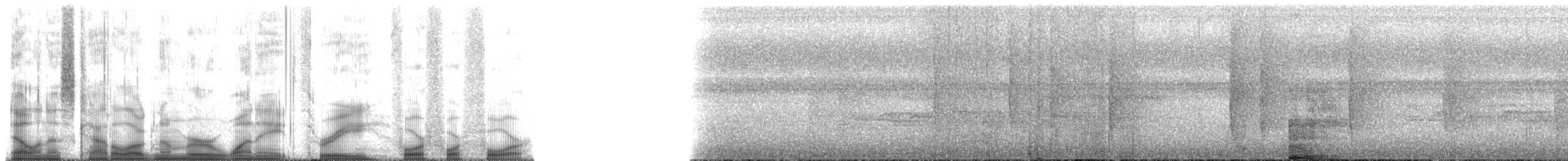 langnebbedderkoppjeger - ML183444