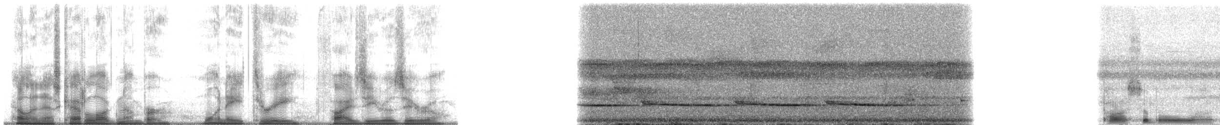 Black-throated Antshrike - ML183500