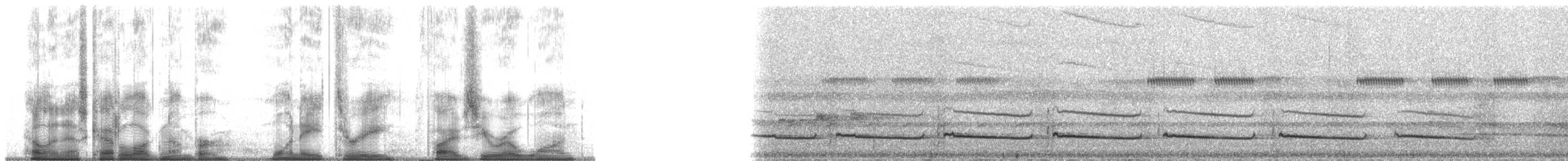 Black-throated Antshrike - ML183501