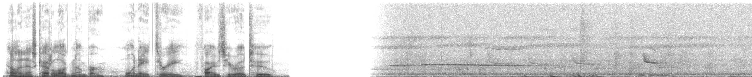 Black-headed Antbird (Hellmayr's) - ML183502