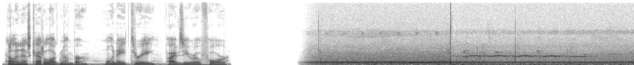 Fasciated Antshrike - ML183504