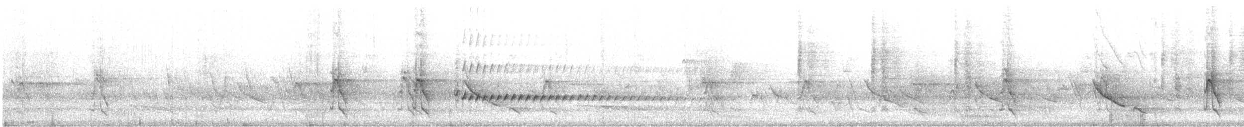 ornathonningeter - ML183525331