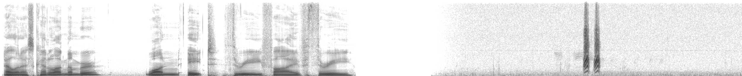 Kara Gagalı Saksağan - ML18353