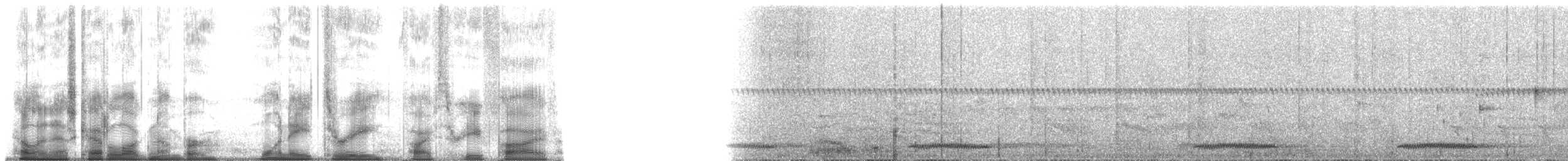 Chotacabras Cubano (insulaepinorum) - ML183535