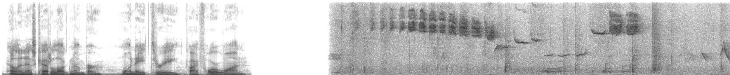 Schwarzgimpeltangare - ML183541