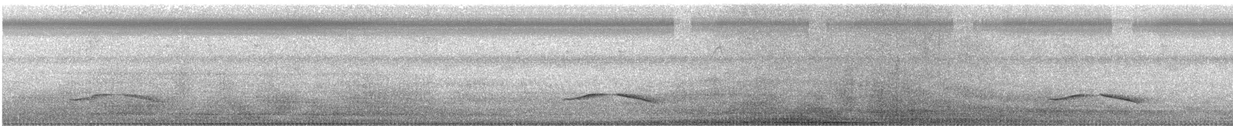 Пятнистогрудая тимелия-говорушка - ML183586091