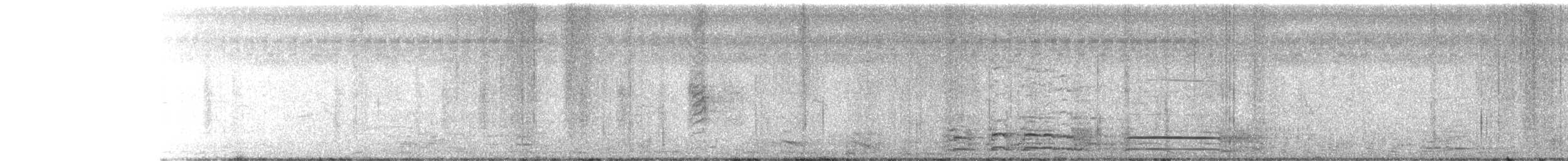 Weißbauch-Schwalbenstar - ML183594511