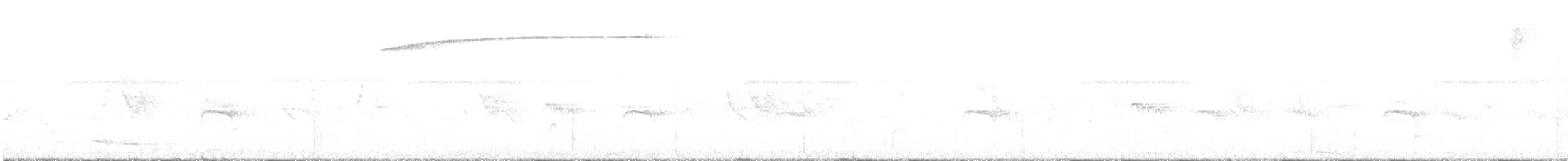チモールヤブサメ - ML183613921