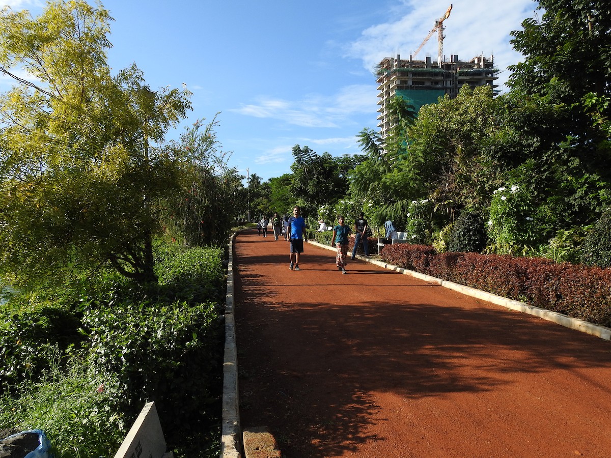 תור נקוד - ML183660171