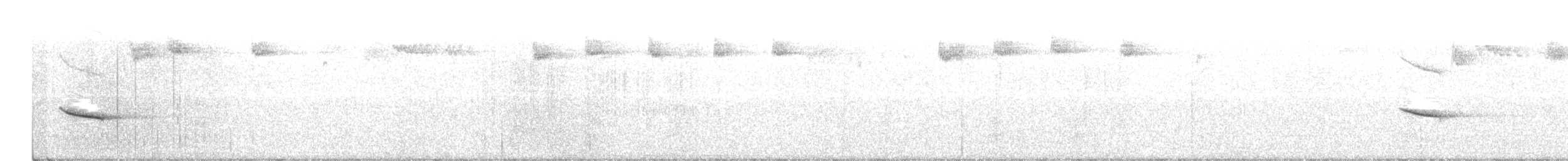 Дрізд-короткодзьоб плямистоволий - ML183677121