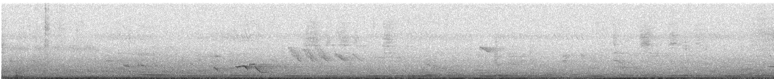 Black-naped Oriole (Sunda) - ML183756481