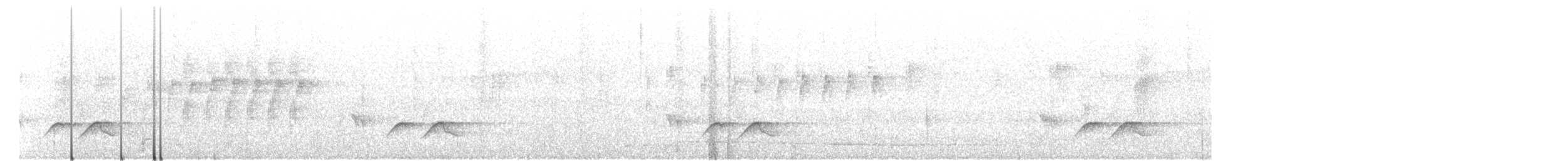 Red-tailed Vanga - ML183899371
