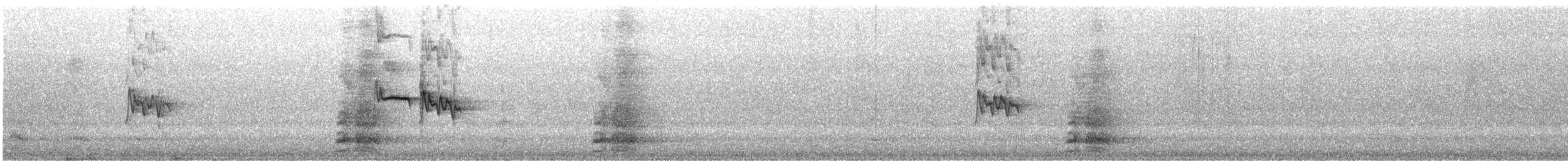 Окулярник сивоспинний - ML183957351