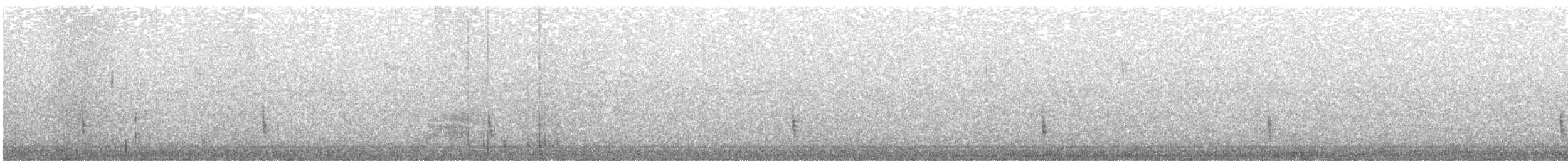 Дрізд-короткодзьоб плямистоволий - ML183969091