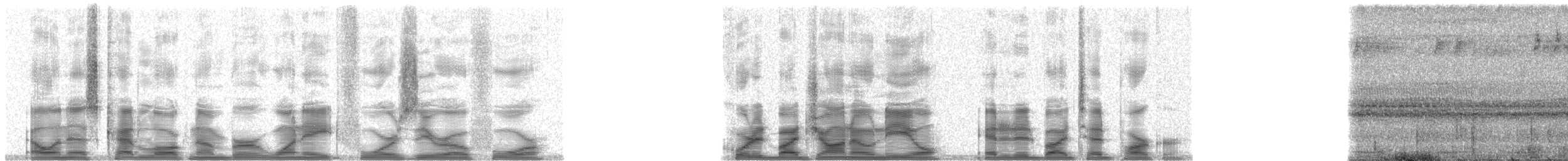 Tawny-bellied Screech-Owl (Southern) - ML18404