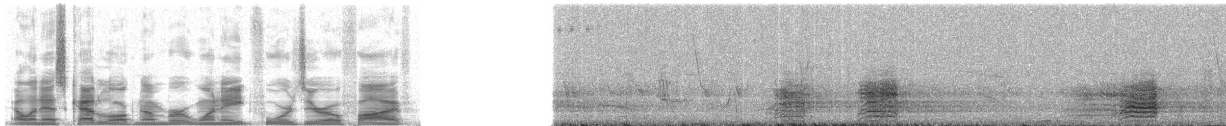 Red-and-green Macaw - ML18405