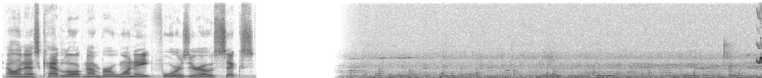 Short-crested Flycatcher - ML18406