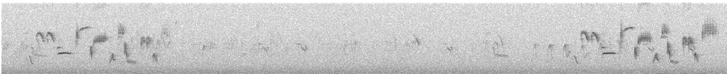 Kara Suratlı Çinte - ML184097751