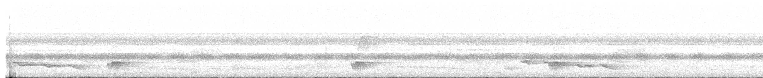 Зернолуск білогорлий - ML184105891