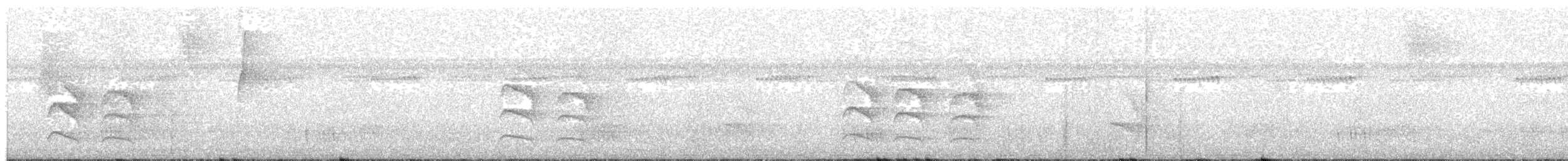 White-flanked Antwren (White-flanked) - ML184111411