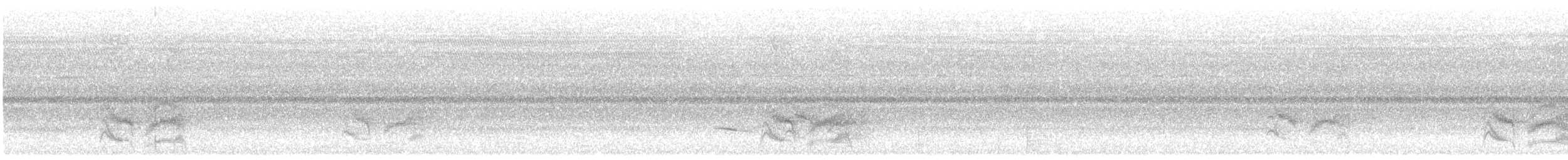 Sharp-tailed Starling - ML184116141