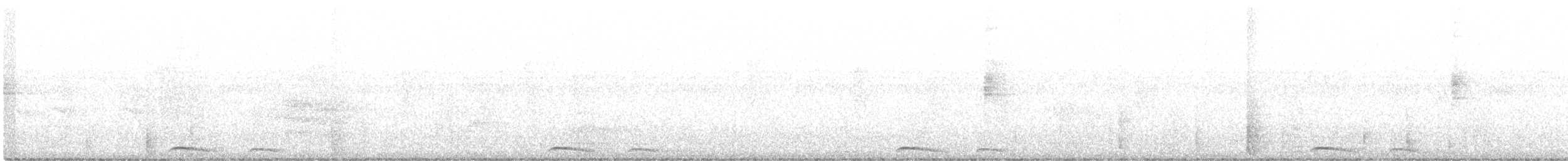 holoubek mexický - ML184132961