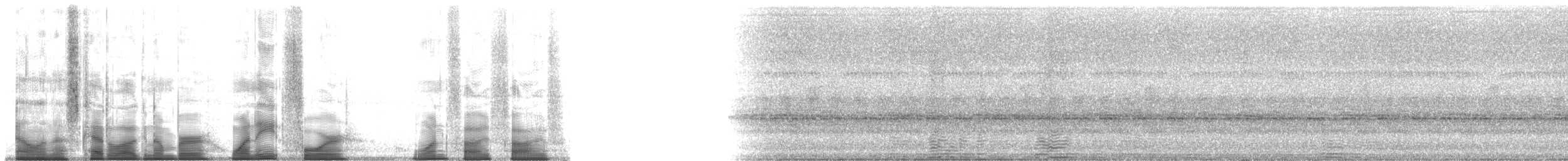 Бронзовый колибри-отшельник - ML184155