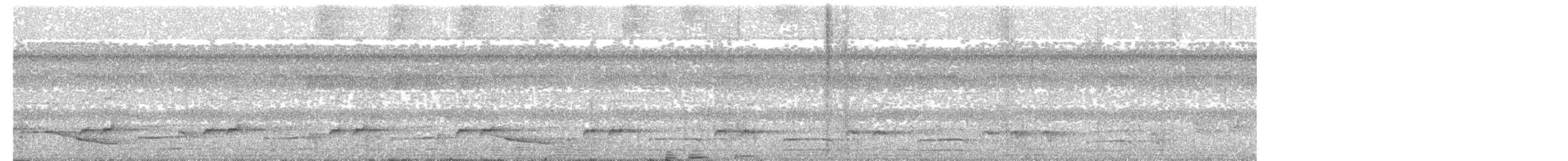 brunbeltedovenfugl - ML184172351