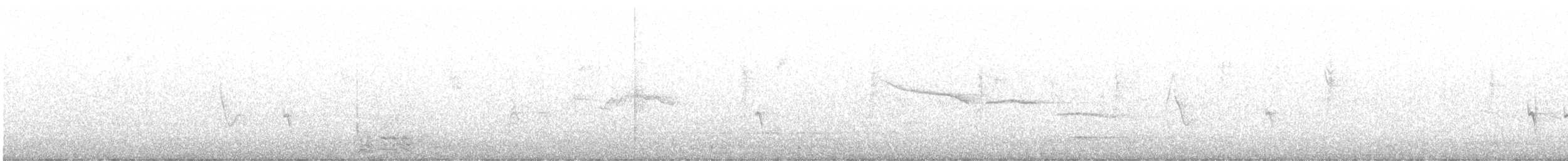 Mokoker arrunta (2 mota) - ML184173221