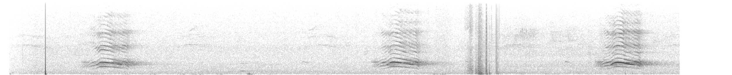 Falculie mantelée - ML184177651