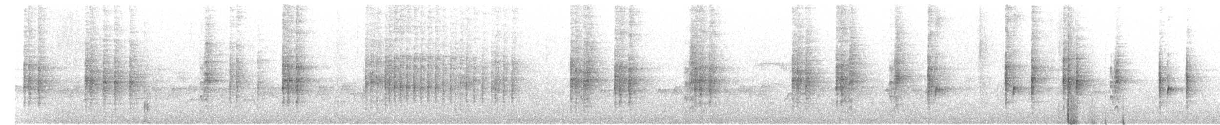 madagaskarsanger (typica gr.) - ML184180321