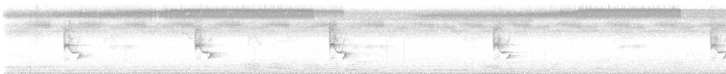 Длинноклювая нектарница - ML184245041