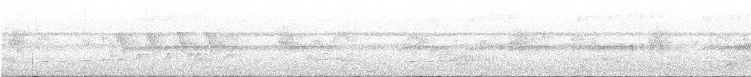 Fork-tailed Drongo-Cuckoo - ML184247001