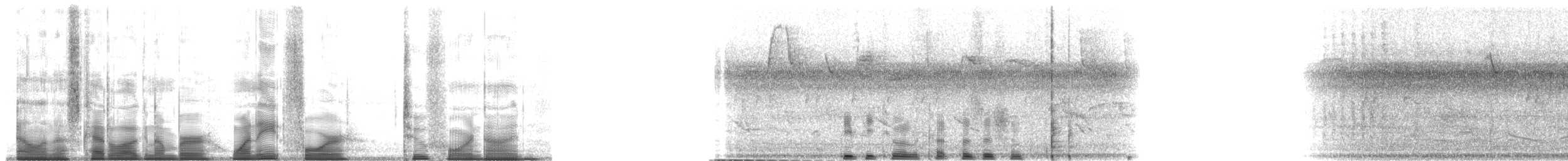 Рисоїд нікарагуанський - ML184249