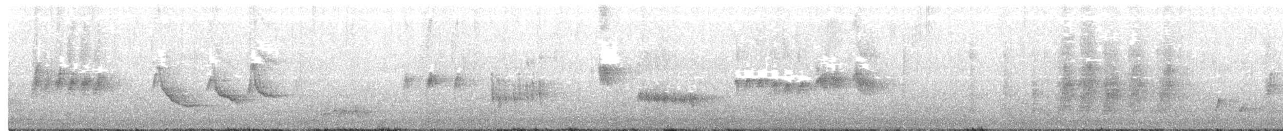 Mirlo Acuático Norteamericano - ML184282961